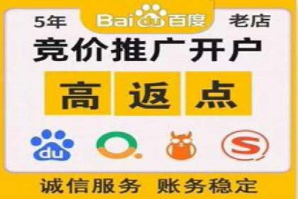 竞价代运营助力电商销量翻倍案例
